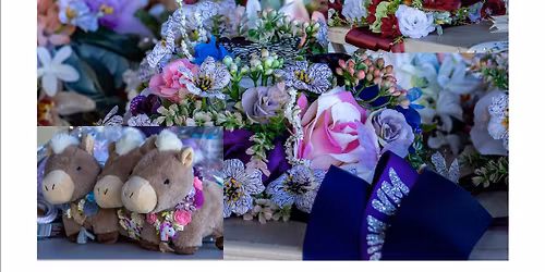 Dilutes Aus - WA Branch STATE SHOW & SPRING FLING ALL BREEDS SHOW