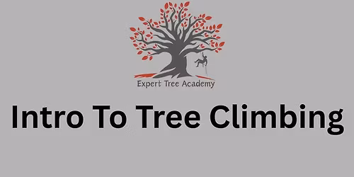Intro to Climbing for Tree Care