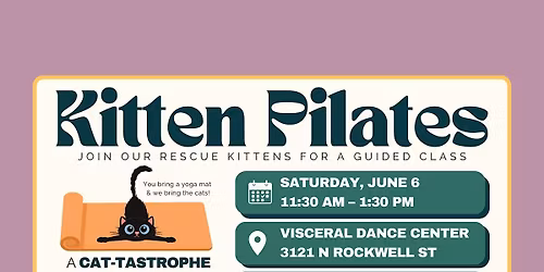 Kitten Pilates