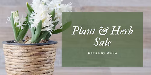 Plant & Herb Sale