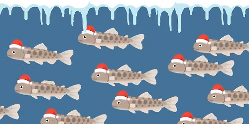 Cohoho Big Babies Release