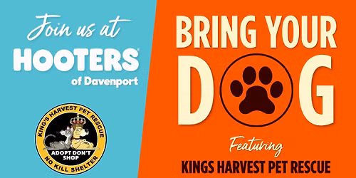 Pups on the Patio at Hooters \ud83d\udc3e