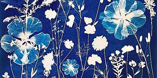 Cynotype Botanical Print Making