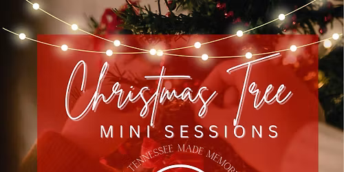 Christmas Tree Mini Sessions