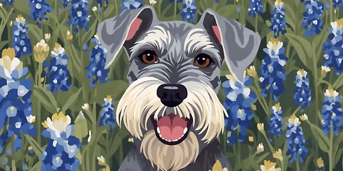 Austin Schnauzer Meet Up - April