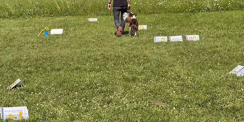 Rally O Trainings Tag in V\u00f6hringen mit Shauna Wenzel 