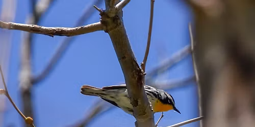 Walk with NICHES, private property near Black Rock Nature Preserve