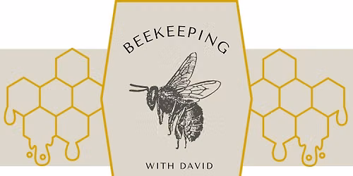 Beekeeping with David
