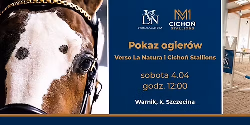 Pokaz ogier\u00f3w Verso La Natura & Cicho\u0144 Stallions
