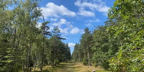 Vandrende h\u00f8jskole \u2013 at bev\u00e6ge sig og lade sig bev\u00e6ge