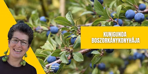 Kunigunda boszork\u00e1nykonyh\u00e1ja - f\u0151z\u0151m\u0171hely a term\u00e9szet kincseib\u0151l