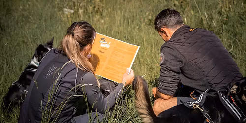 WILD | The Game by Camp Canis | Oberharz 2026