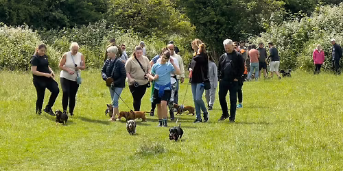 Sausage Stroll & Barkathon Dec  2025  - XMAS EVENT \ud83c\udf85\ud83c\udffb 