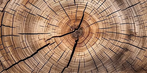 Men\u2019s Circle \u2013 Polarities