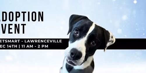 Paw Project of Georgia Adoption Event