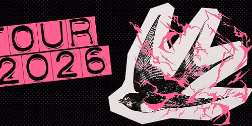 DRUNKEN SWALLOWS \u2013 \u201eECHOS ALTER TAGE\u201c TOUR 2026 Abschlusskonzert