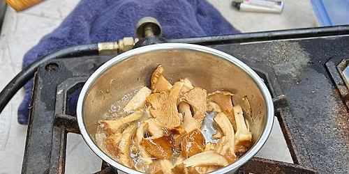 Mushroom Hunting and Culinary Demonstration