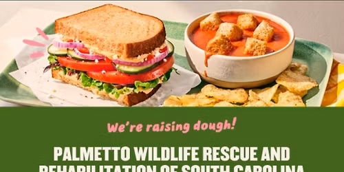 Palmetto Wildlife at Panera of Bluffton