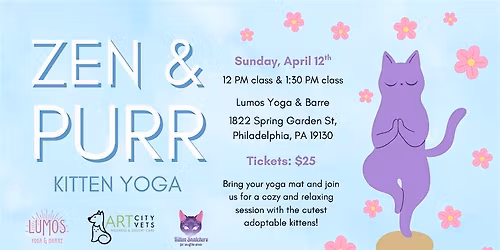 Zen & Purr Kitten Yoga