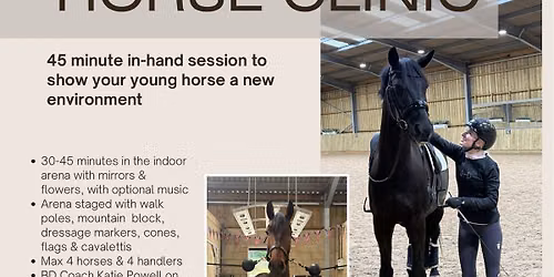 Young Horse Clinic