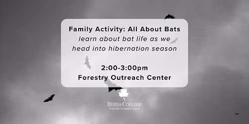 Family Activity: All About Bats