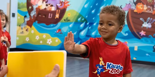 Karate Zoo Classes - Ages 3-6 years
