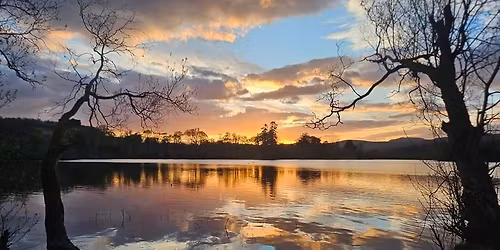 Christmas Carols in the Wellmeadow.