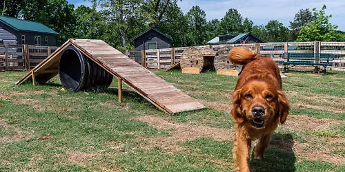 Pet-Lovers Paw-ty Weekend