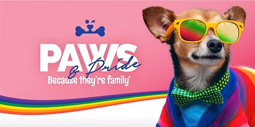\ud83c\udf08 Paws & Pride at Splash and Dash DTSP \ud83d\udc3e