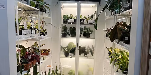 Build Your Own IKEA Greenhouse Cabinet Lecture