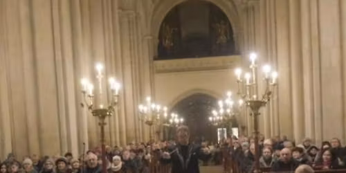 Rybova m\u0161e v\u00e1no\u010dn\u00ed