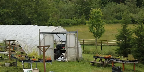 Native Plant Sale\u2014Edible and Medicinal PNW species