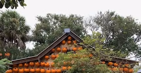 Pumpkin House and Pumpkin Palooza