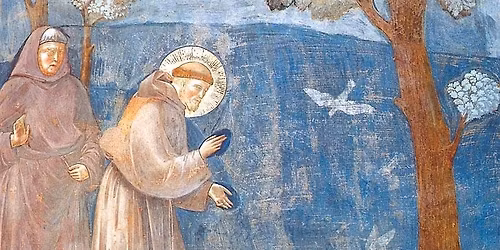 Il Medioevo e il mondo naturale: indovina chi \u00e8 il santo - turno 2