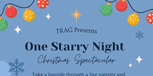 One Starry Night - A Christmas Spectacular