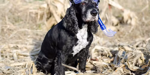 Scuba-Now Give Back Event 