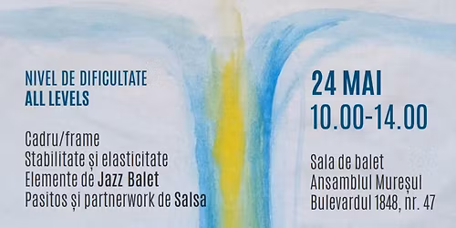 Curs de tehnica in dans