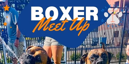 \ud83e\udd4a\ud83d\udc36 Boxers Meet Up at Mutts & Martinis!
