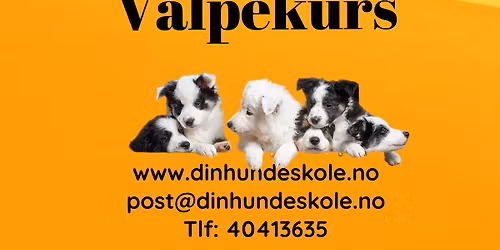 Valpekurs Skien Tirsdager