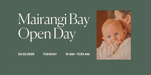 Bear Park Mairangi Bay - Open Day