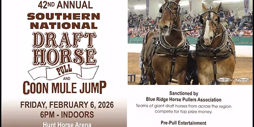 Southern National Draft Horse Pull and Coon Mule Jump