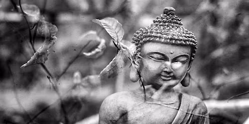 Meditation: Half-Day Sit @ ADMC