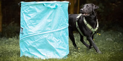 Seminar - Besch\u00e4ftigungsideen f\u00fcr deinen Hund