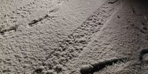 Motoros, Quados Mikul\u00e0s felvonul\u00e0s Heves Megye Sz\u0171csi