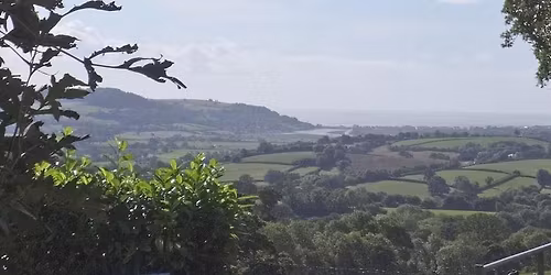Bird Watch