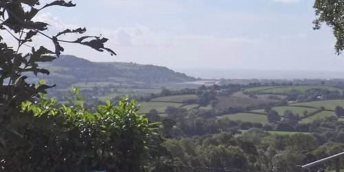 Bird Watch
