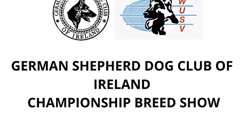 The Mark Plunkett Memorial Championship Show 2026