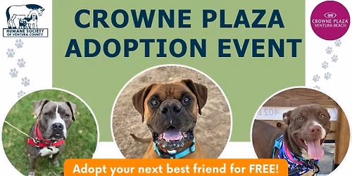 Crowne Plaza Ventura Beach Adoption Event