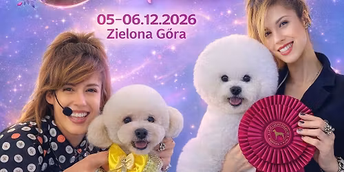 Bichon frise na Show, Teddy Bear & Asian Style z Elizabeth Traves\u00f3