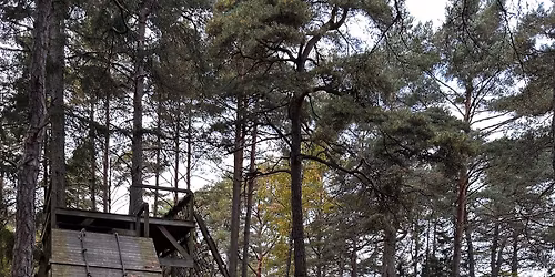 J\u00e4rv \u00c4ventyr Tj\u00f6rn by Outnorth \ud83c\udf0a